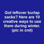 Stumble upon this plant and you’ve struck gold. Most folks walk right past it without a clue