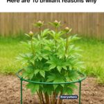 Don’t replace worn-out garden hoses just yet. These 10 genius repurposes will save you money.