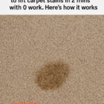 My nana taught me this hack to freshen carpets in 4 mins with 0 work. Here’s how it works