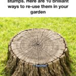 Whoa, this completely flew under my radar