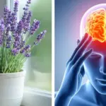 Ginger Has Unbelievable Power: It Can Help Treat These 12 Diseases