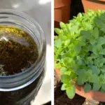 Man filled mason jars with autumn leaves. Just wait until you see them light up his porch!