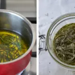 14 Indoor Edible Plants That Continue Producing Every Month