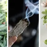 Here’s Why You Should Always Put a Coffee Filter in Your Flower Pots