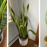 How Do You Remove Stains