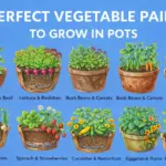 14 Herbs That Thrive in Water All Year Long