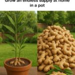 The First Three Colors You See Reveal How You Intimidate People