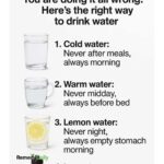 You are doing it all wrong. Here’s the right way to nap