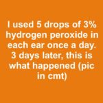 The Most Common Places This Insect Hides Inside Your Home