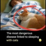 STOP EATING THIS FISH IMMEDIATELY