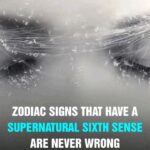 Natural and Fortifying Garlic Soup