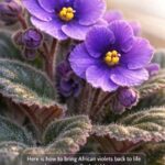 15 plants that can grow just in water