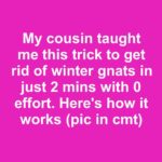 These end up forgotten. 10 unexpected ways to reuse empty potting soil bags