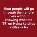 The Hidden Role of the Air Recirculation Button in Your Driving Experience