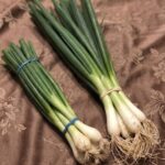 The Distance Between Us Was Closer Than I Ever Realized