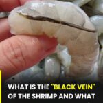 What meaning is attributed to the crescent moon and the letter M on the palm of the hand, according to popular beliefs?