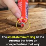 Bring overwintered geraniums back to life with these February care steps