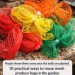 Here is how to keep basil growing fresh leaves even when it is freezing outside