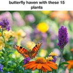 Here is how to get your amaryllis to bloom again year after year without fancy steps