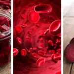 Why Every Home Needs a ZZ Plant: 9 Benefits