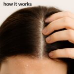 A Simple Holiday Reunion That Ended Up Changing Everything