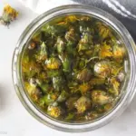 Why Lacewings Are the Unsung Heroes of Natural Pest Control