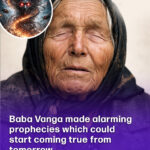 How to Grow Your Own Avocado Tree in a Small Garden Pot (Step-by-Step Guide)