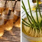 Six months after the divorce, my ex-husband suddenly called to invite me to his wedding. I said, ‘I just gave birth. I’m not going anywhere.’ Half an hour later, he rushed to my hospital room in a panic…