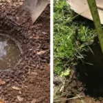 Toss sliced cabbage and noodles in the slow cooker and get a meal so delicious your family will be begging for more.