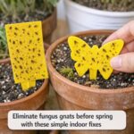 10 major signs your bladder is unhealthy