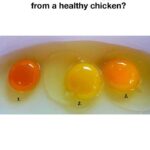 Do not keep these items that belonged to a deceased person