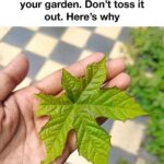 Don’t toss those vintage tins just yet. Here are 10 clever ways to reuse them