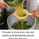 ALERT! Beetroot juice kills cancer cells in 42 days