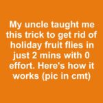 Wake up dormant roses with these early-season steps to encourage strong spring growth