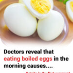 Bringing Back the Magic: The Return of a Beloved American Icon