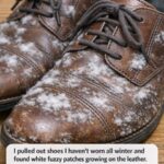 You Must Pick Only One Bed to Sleep In for the Rest of Your Life — Your Choice Reveals More Than You Think