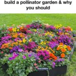 Group your plants together during winter. Here are the 10 effects on humidity and growth