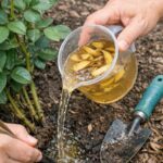 But what is the purpose of this object?