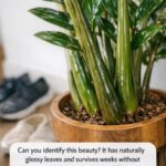 Mix these 3 ingredients into garden soil for this root-strengthening effect