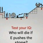 Natural Juice That’s Packed With Benefits