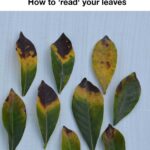 Most have no idea how this is done