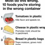 Opened canned tomatoes and saw bubbles rising immediately. Is that fermentation or spoilage