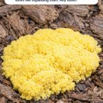 Found this in a box of kitchen gadgets. It’s a long metal tube with a plunger at the top. When I push it, tiny claws come out the bottom.