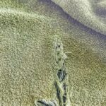 Most people throw these away. 10 smart ways to reuse old eyeglass cases