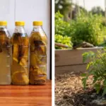 Wrap your feet in aluminum foil & get this stunning change