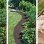 Pour this 1 natural mixture into propagation jars for this root-triggering effect