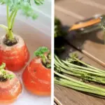 10 weird compost tricks that actually speed things up