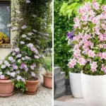 If You Wait Until March, You’re Already Late – Start These Seeds Now