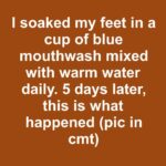 I need help with this!