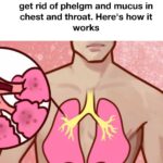 10 major signs your bladder is unhealthy